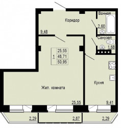Двухкомнатная квартира (Евро) 50.95 м²